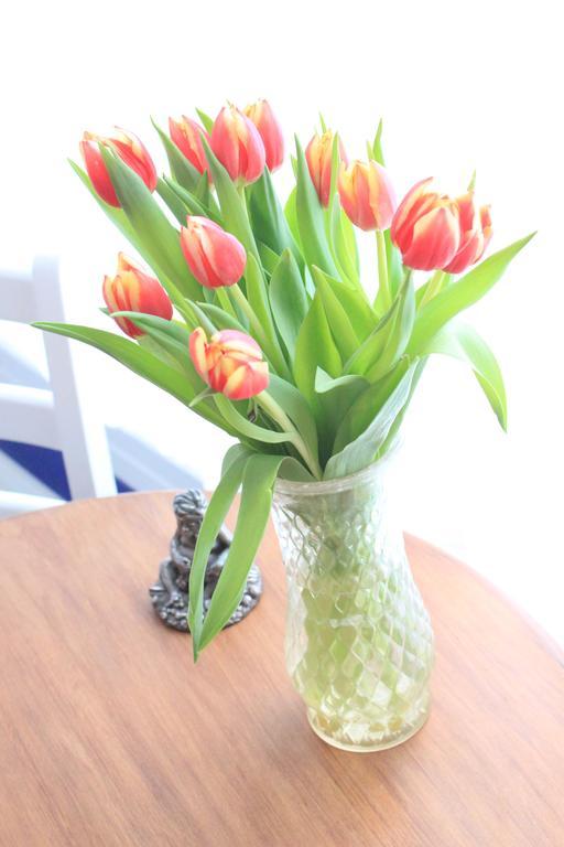 Tulip Of Amsterdam Bed & Breakfast Phòng bức ảnh