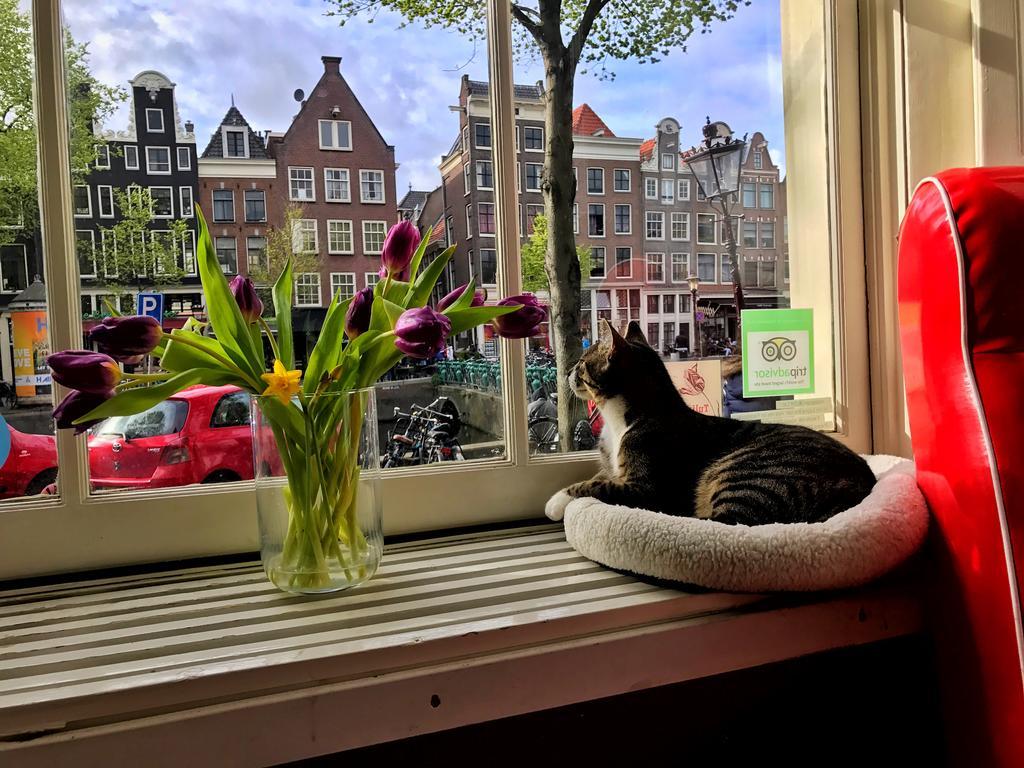 Tulip Of Amsterdam Bed & Breakfast Ngoại thất bức ảnh