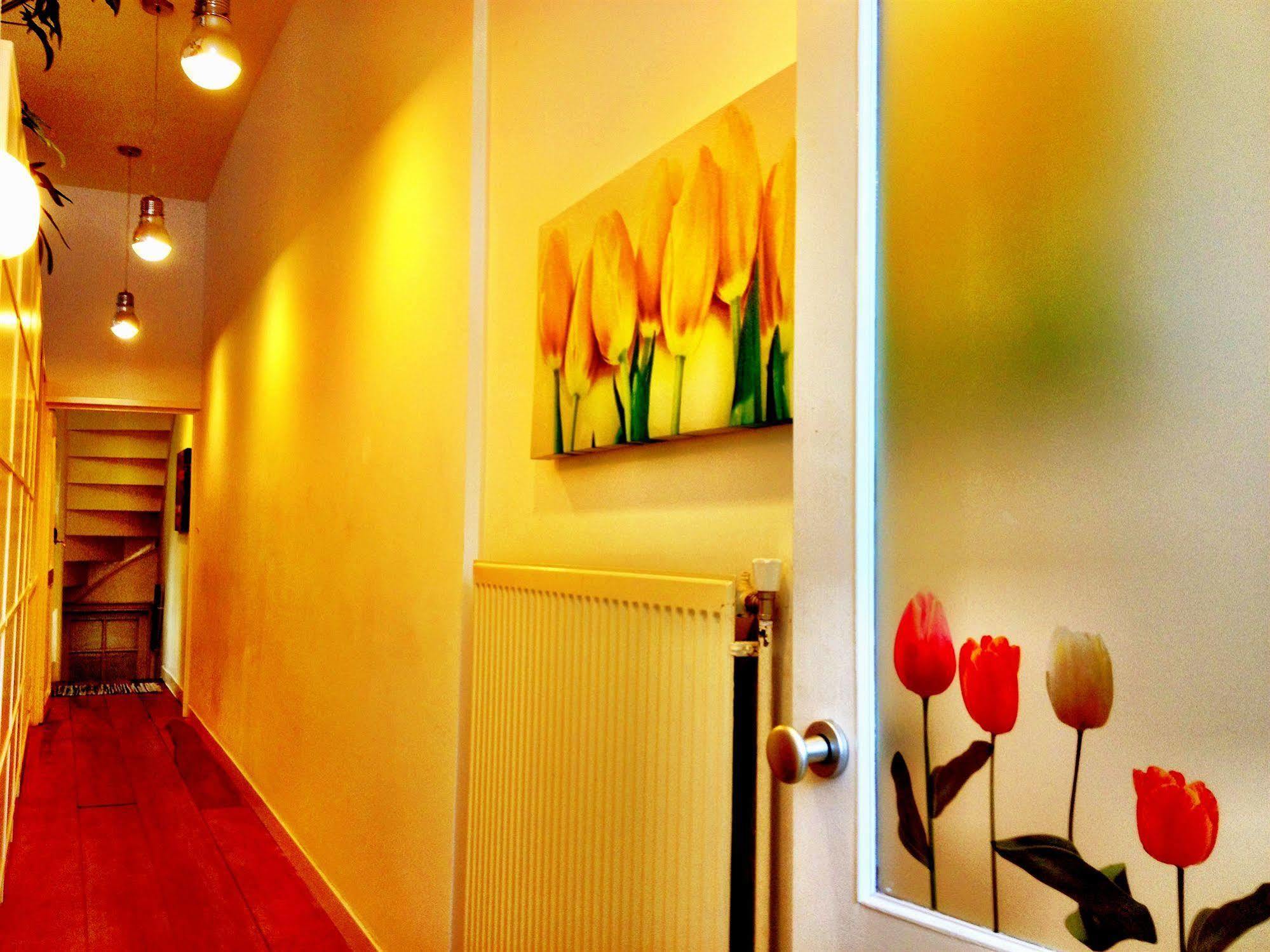 Tulip Of Amsterdam Bed & Breakfast Ngoại thất bức ảnh